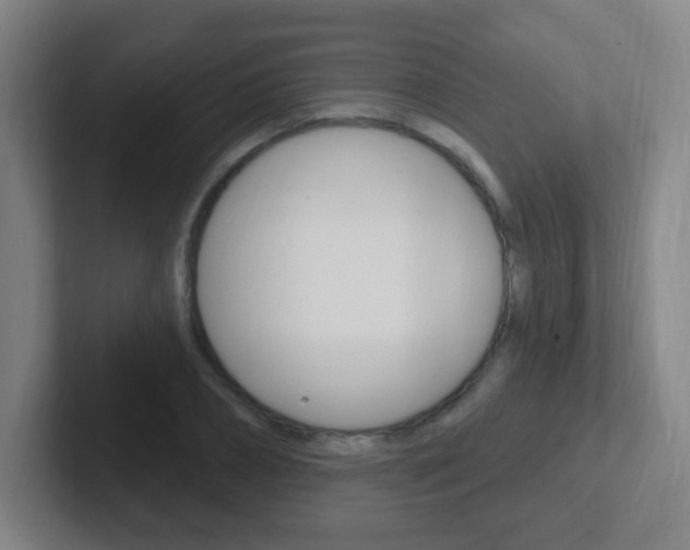 X0000102310882200807251039