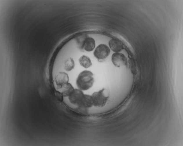 X0000102310883200807251039