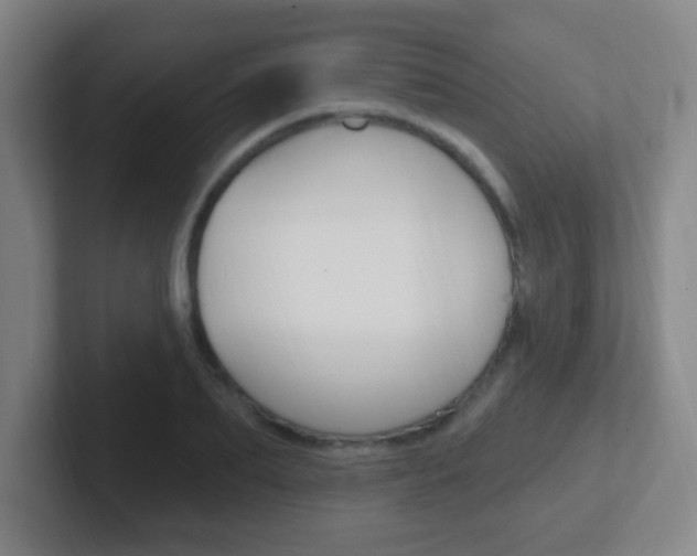 X0000102310887200807251039