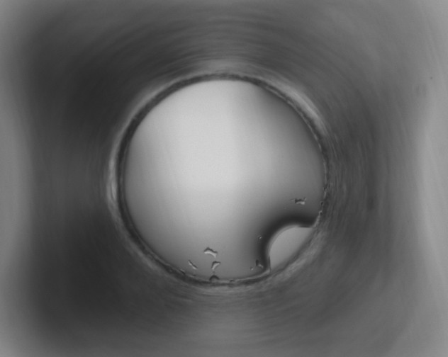 X0000102310888200807251039