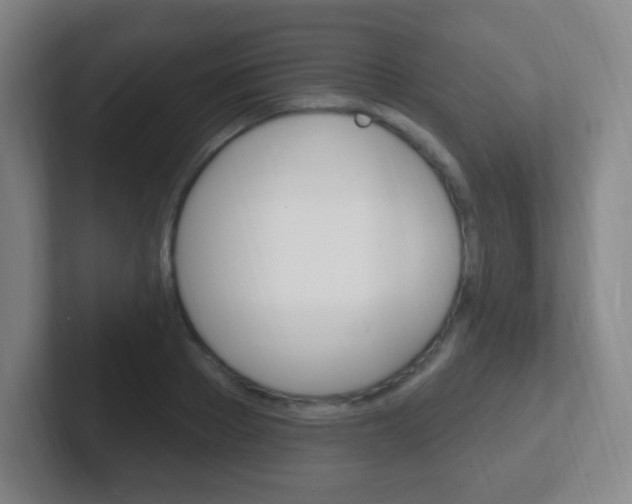 X0000102310889200807251039