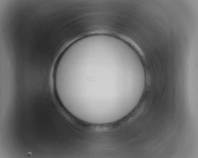 X0000102310890200807251039