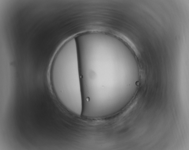X0000102310891200807251039