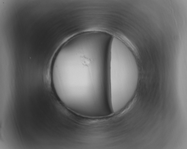 X0000102310892200807251039