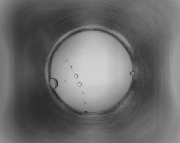 X0000102310895200807251039