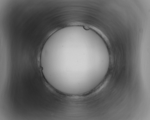 X0000102310897200807251039