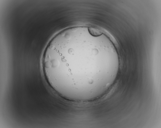 X0000102310899200807251039