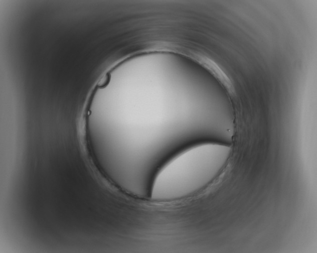 X0000102310900200807251039