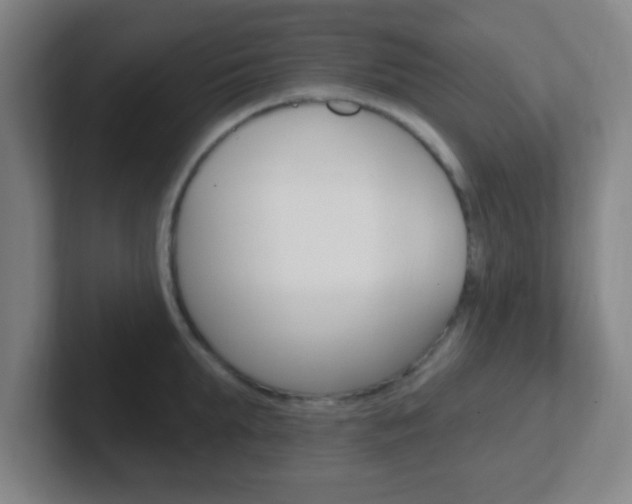 X0000102310903200807251039