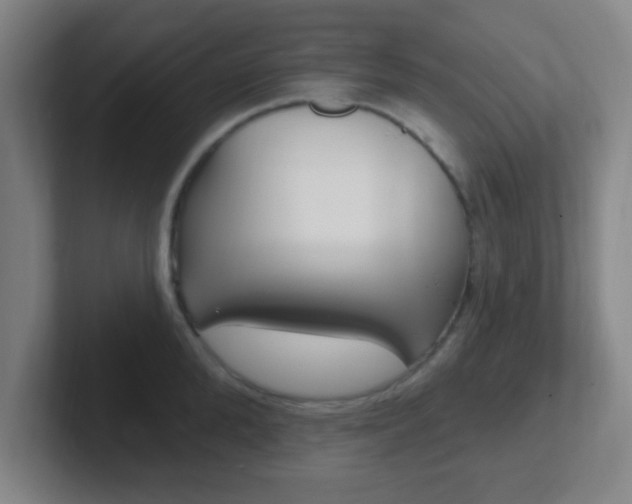 X0000102310904200807251039