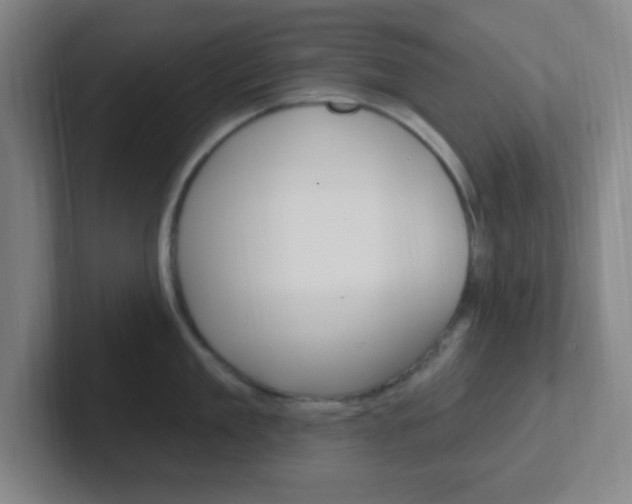 X0000102310909200807251039
