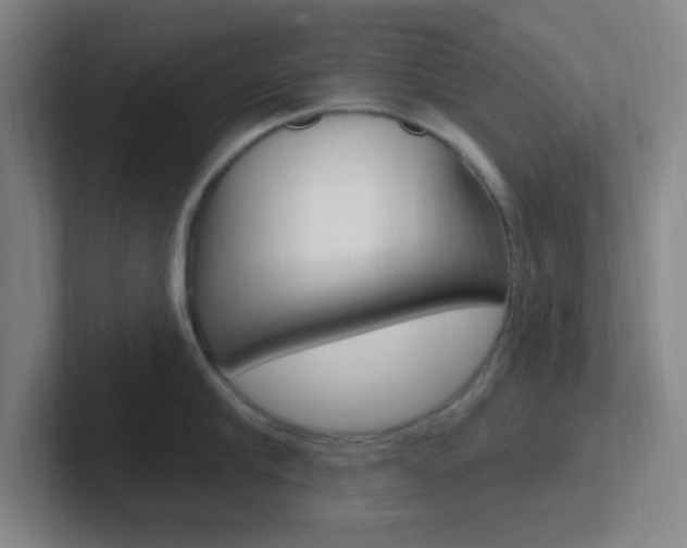 X0000102310910200807251039
