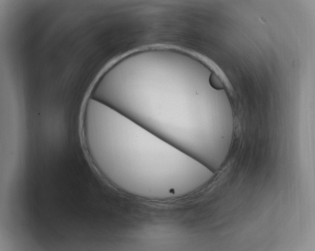 X0000102310911200807251039