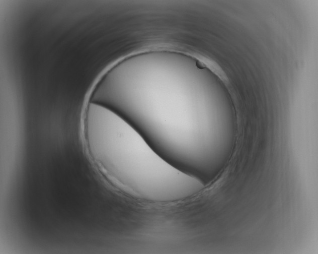 X0000102310912200807251039