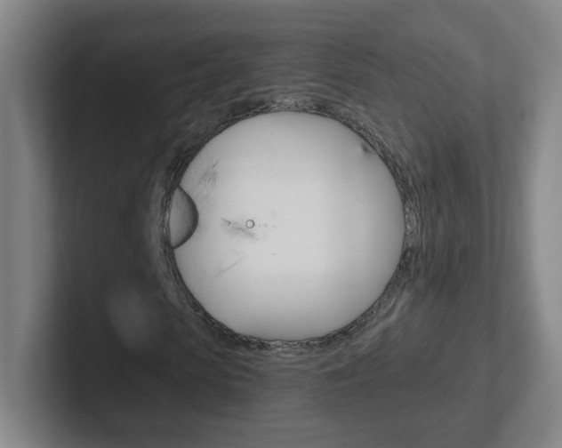 X0000102310913200807251038