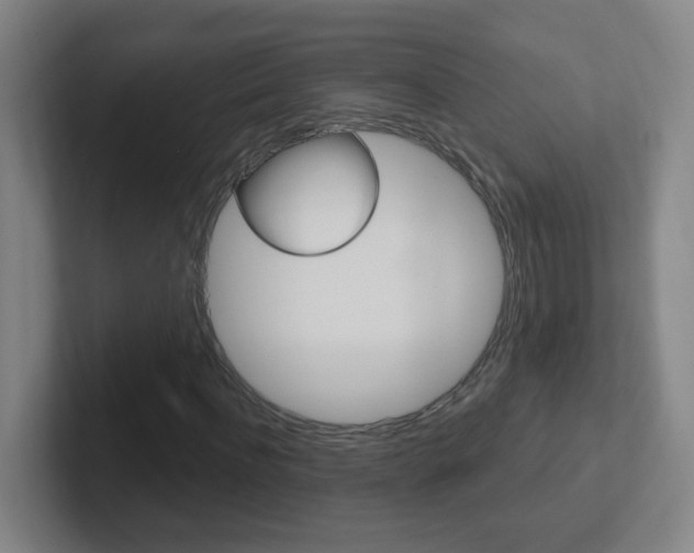 X0000102310916200807251038