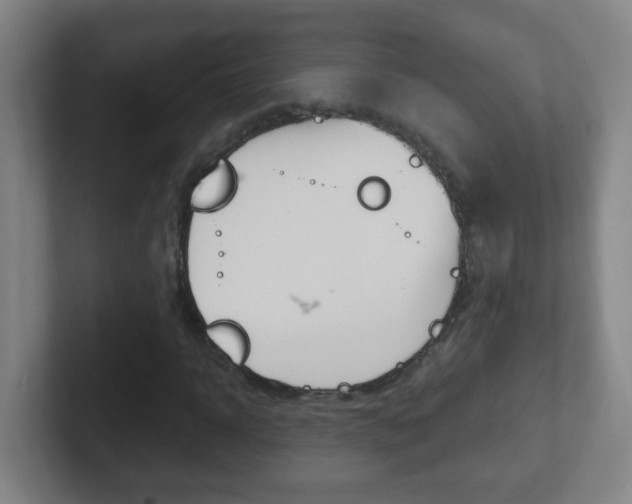 X0000102310918200807251038