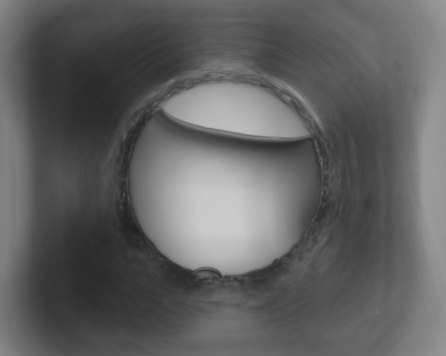 X0000102310919200807251038