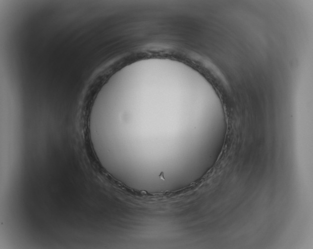 X0000102310920200807251038