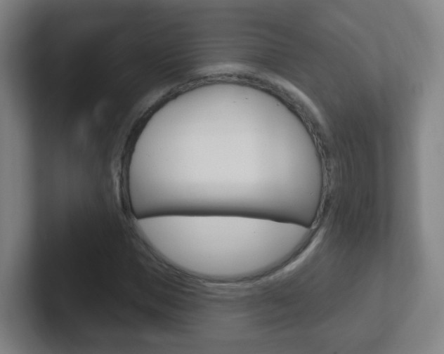 X0000102310921200807251038