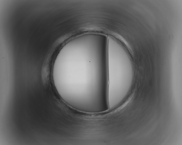 X0000102310922200807251038