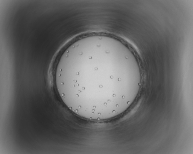 X0000102310925200807251038
