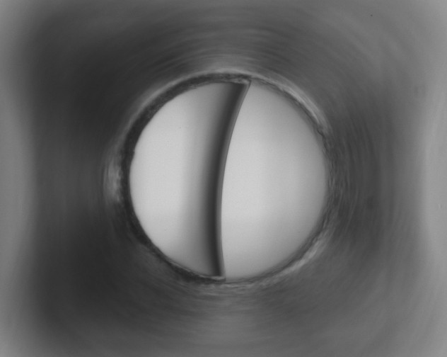 X0000102310926200807251038
