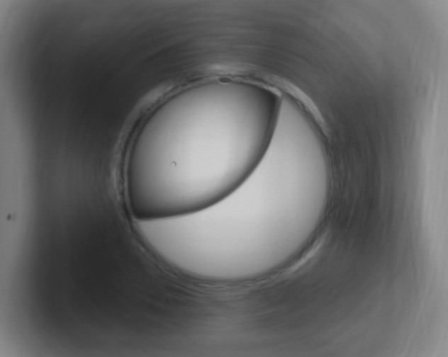 X0000102310930200807251038