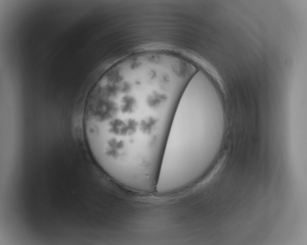 X0000102310937200807251038