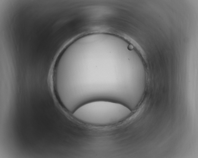 X0000102310941200807251038