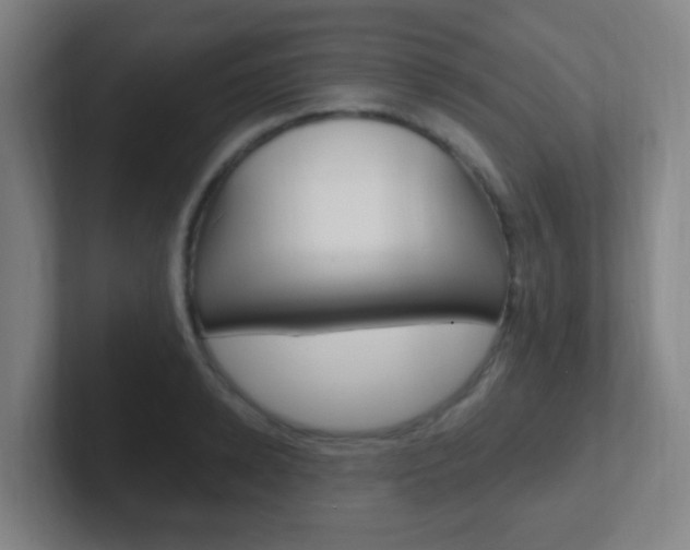 X0000102310942200807251038