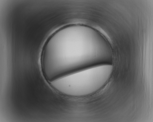 X0000102310943200807251038