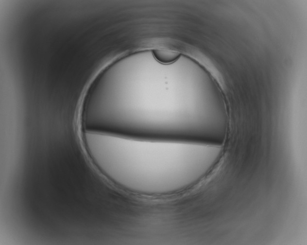 X0000102310949200807251038
