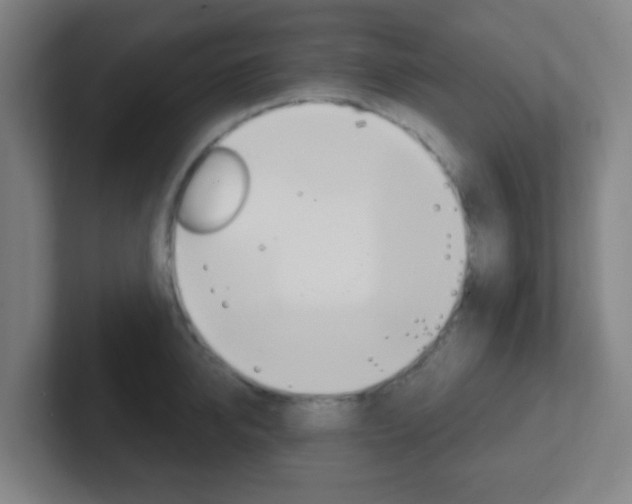 X0000102310950200807251038