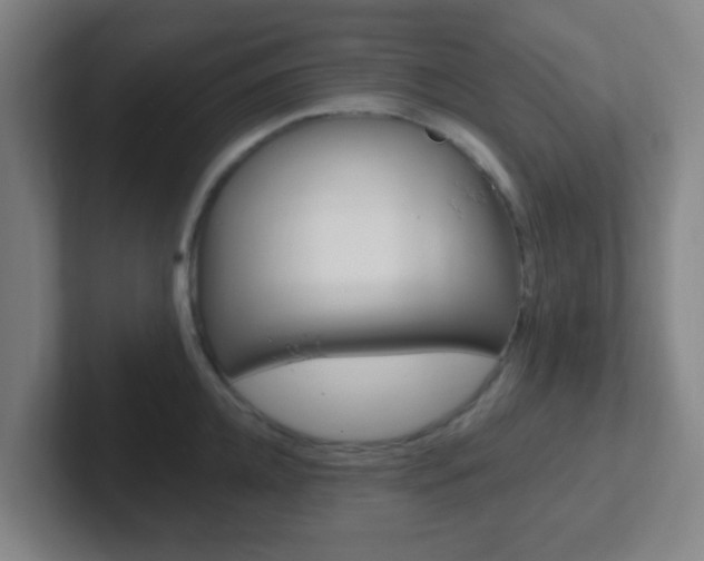 X0000102310952200807251038