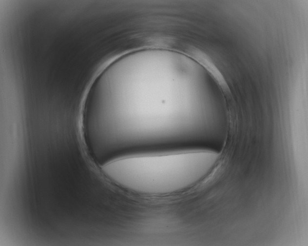 X0000102310956200807251038