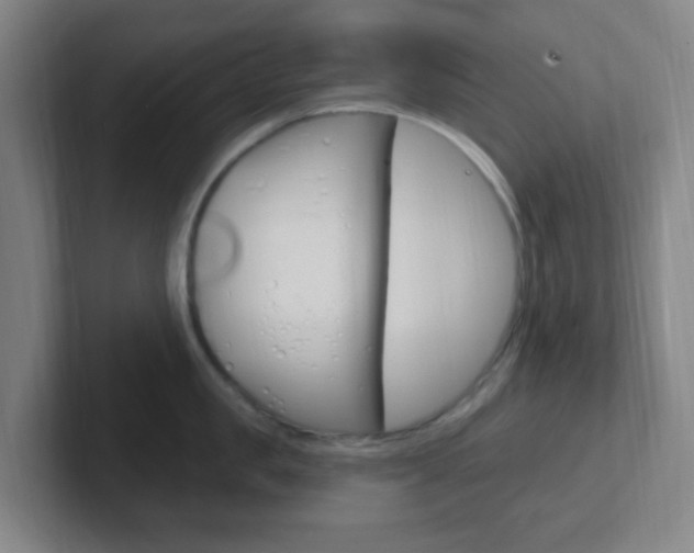 X0000102310957200807251038