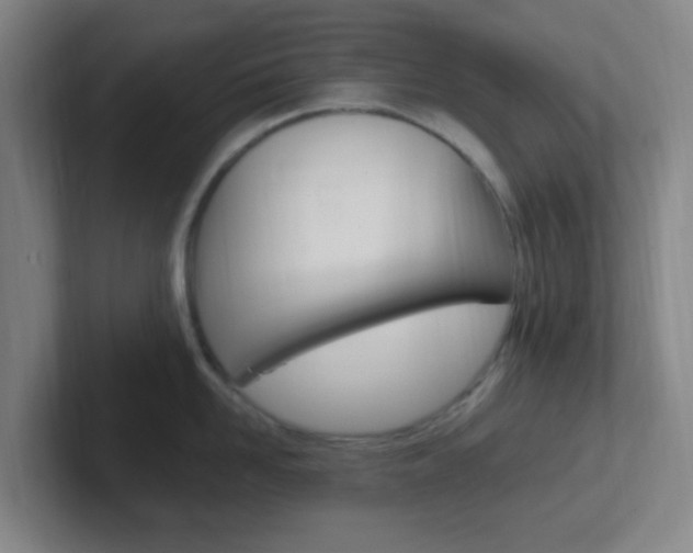 X0000102310958200807251038