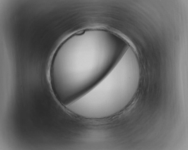 X0000102310959200807251038