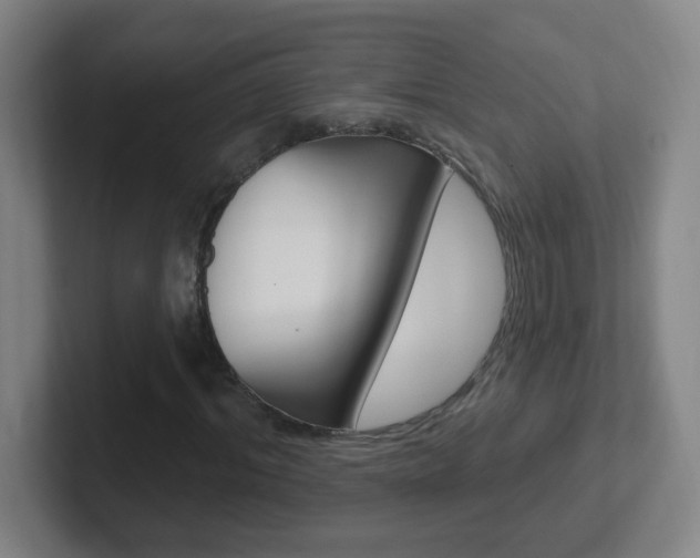 X0000102310964200807251038