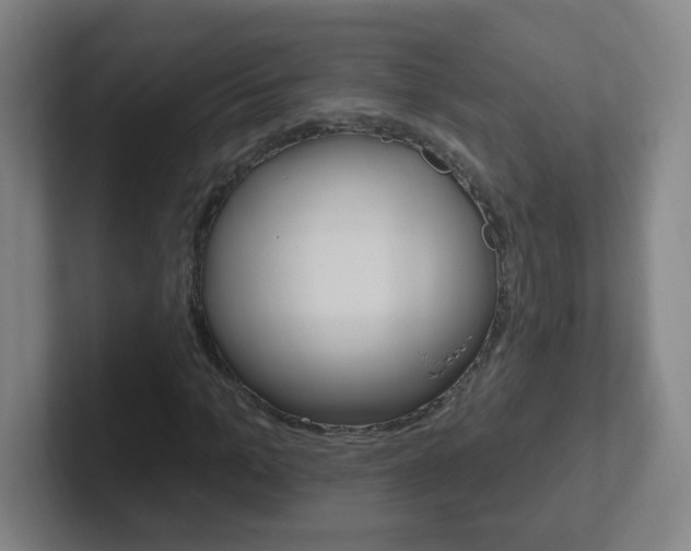 X0000102310965200807251038