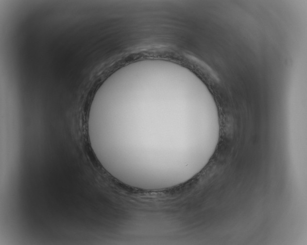X0000102310966200807251038