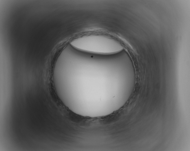 X0000102310967200807251038