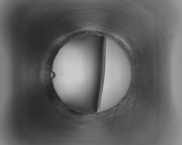 X0000102310968200807251038