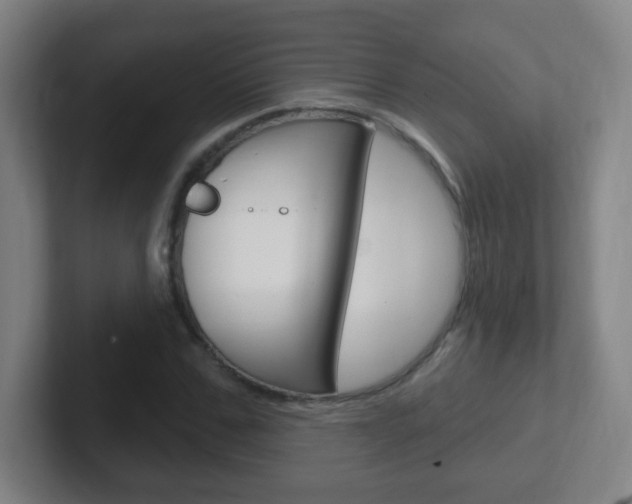 X0000102310971200807251038
