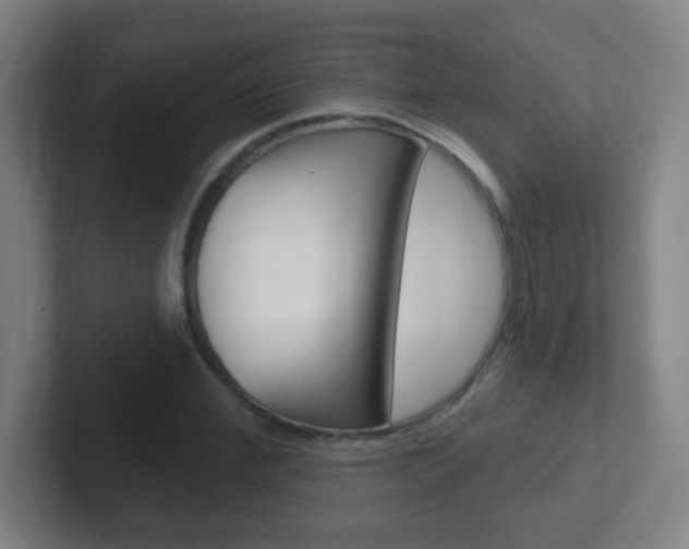 X0000102310972200807251038