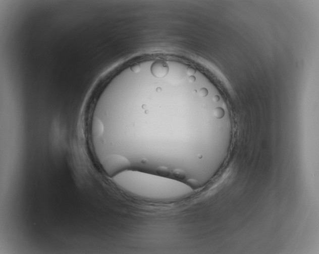 X0000102310974200807251038