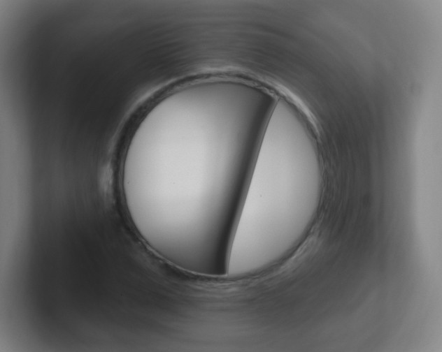 X0000102310975200807251038