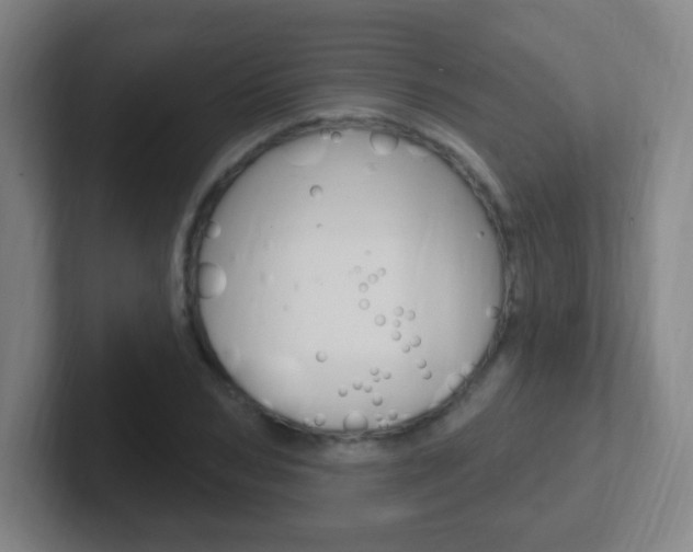 X0000102310978200807251038