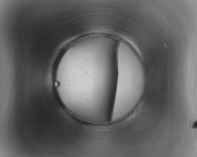 X0000102310979200807251038